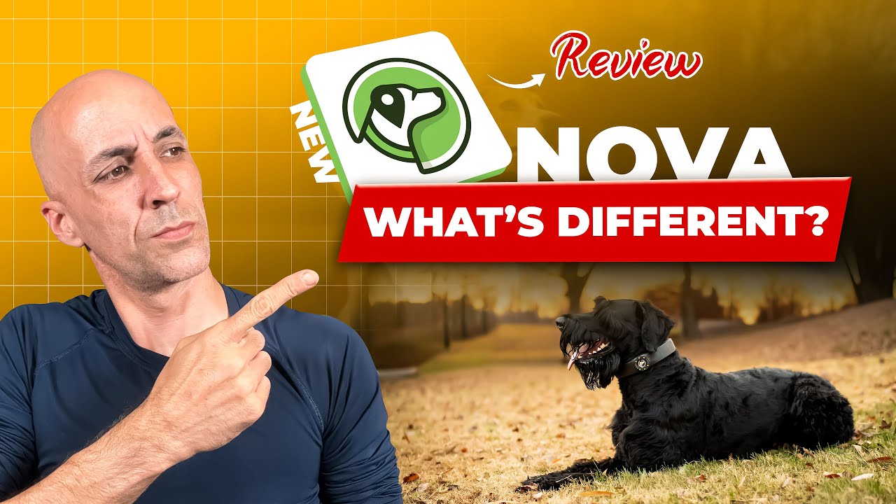 Обзор GPS-забора для собак SpotOn (версия Nova 2026): что нового по сравнению с Omni?