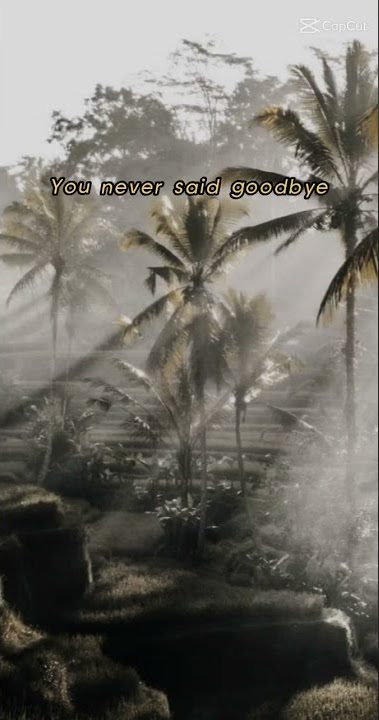 Michael jackson - You are not alone (lyrics)