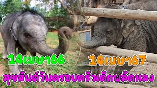 14 เมษา 67ความสุขของมีนาเด็กพลัดหลงที่เราช่วยดูแล /14เมษา 66 วันวาน ความทรงจำไม่ลืมเลือน ๙ตุลา