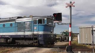 Vojtěch Bernátek | Kompilace Železničních přejezdů 2019 | Czech Level Crossing Compilation 2019