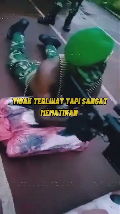 STORY'WA TNI PALING VIRAL SNIPER 2021