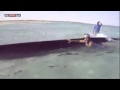 حوت يفاجئ زوار شاطئ ليبي   أخبار سكاي نيوز عربية