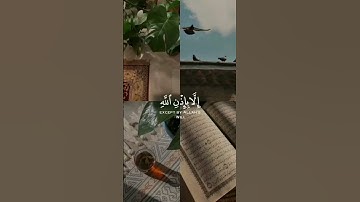 القران الكريم #لايك #اكسبلور #فلسطين حرة 🇵🇸