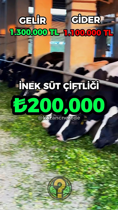 100 İNEK NE KADAR KAZANDIRIR (ZENGİN OL) #işfikirleri #işfikri