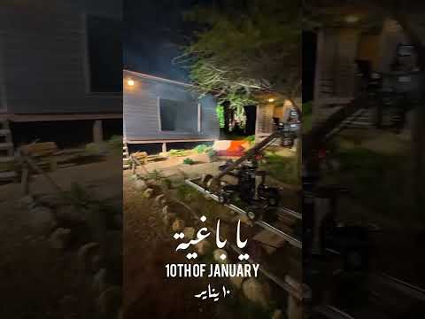 بيغ سام ياباغية فقلبي 
