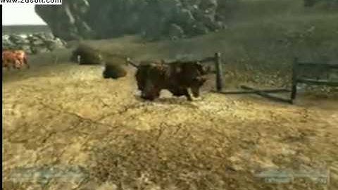 fallout3 -Brahmin tipping