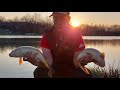 Pecanje Šarana Method Feeder Tehnikom (Ribnjak Peca)