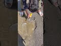 Treasure metal hunting in river side #treasuresearch #metaldetecting #hunter #metal hunting