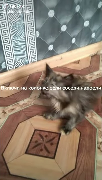 Включи на колонке если соседи надоели - YouTube