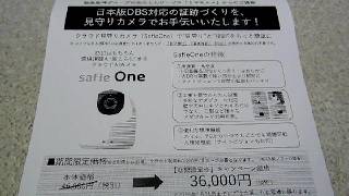 In Your Face Direct Marketing in Japan!