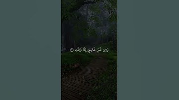 Surah Al-Falaq 🌙 | سورة الفلق 📖 | Yasser Al-Dosari ياسر الدوسري