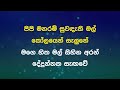 Samanal Hanguman සමනල් හැඟුමන්   Uresha Ravihari   Karaoke   Instrumental