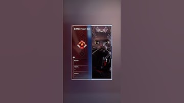 Number 1 Sparrow In The World!