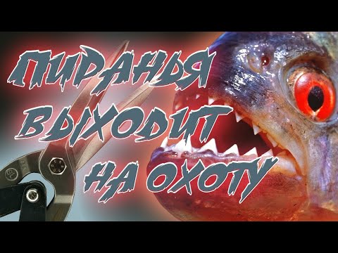 Ножницы по металлу GROSS PIRANHA 78329. Мой обзор.