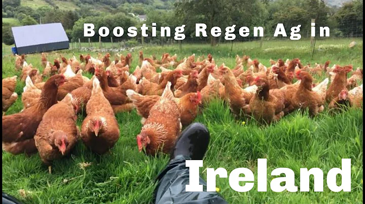 Training new farmers at Heather Hill Farm, Ireland