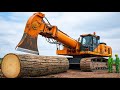 Inside How Massive Logs Are Extracted From Deep Forests (Full Process)