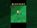 ヌーブに追いかけられる… #ロブロックス#Roblox#ロブロックス実況