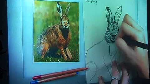 KDOARTS- Video 7 - Cross- Hatching & Stippling