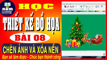 Học thiết kế đồ họa Bài 8 đưa ảnh vào corel và xóa nền