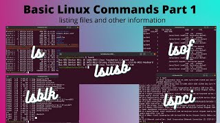 Basic Linux Commands Part 1: listing files and other information