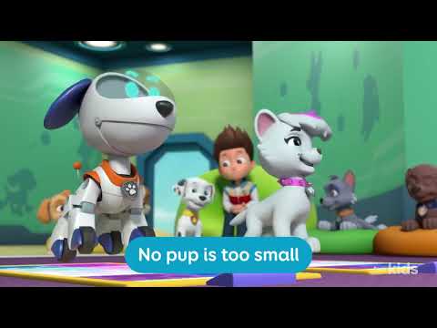 PAW PATROL Season 11 TRAILER 🐶On TVOKIDS Canada 🇨🇦