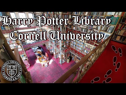 Exploring the Harry Potter Library at Cornell University - Mischief Managed