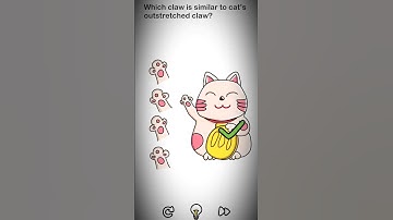 Brain Out 🧠 level no.5