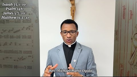 Homily for 3rd Sunday of Advent Gaudete Sunday Year A. Joy in the wilderness. #gaudete #rejoice 