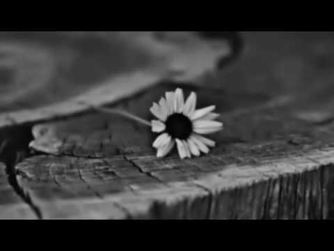 dompak sinaga ho nama parpudi dompak sinaga ho nama parpudi