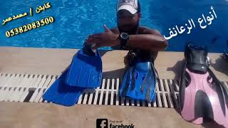 تعليم السباحة في ألانيا : أنواع الزعانف Типы плавников