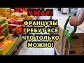 Дожились ! Французы ВЫЖИВАЮТ! ВЫ УДИВИТЕСЬ КАКОЙ ДУРДОМ У НАС ТВОРИТСЯ ! А ЧТО БУДЕТ ЗИМОЙ ?? France