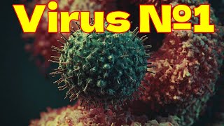Robocontest N0013 Virus №1. Python, Java, C#, C++