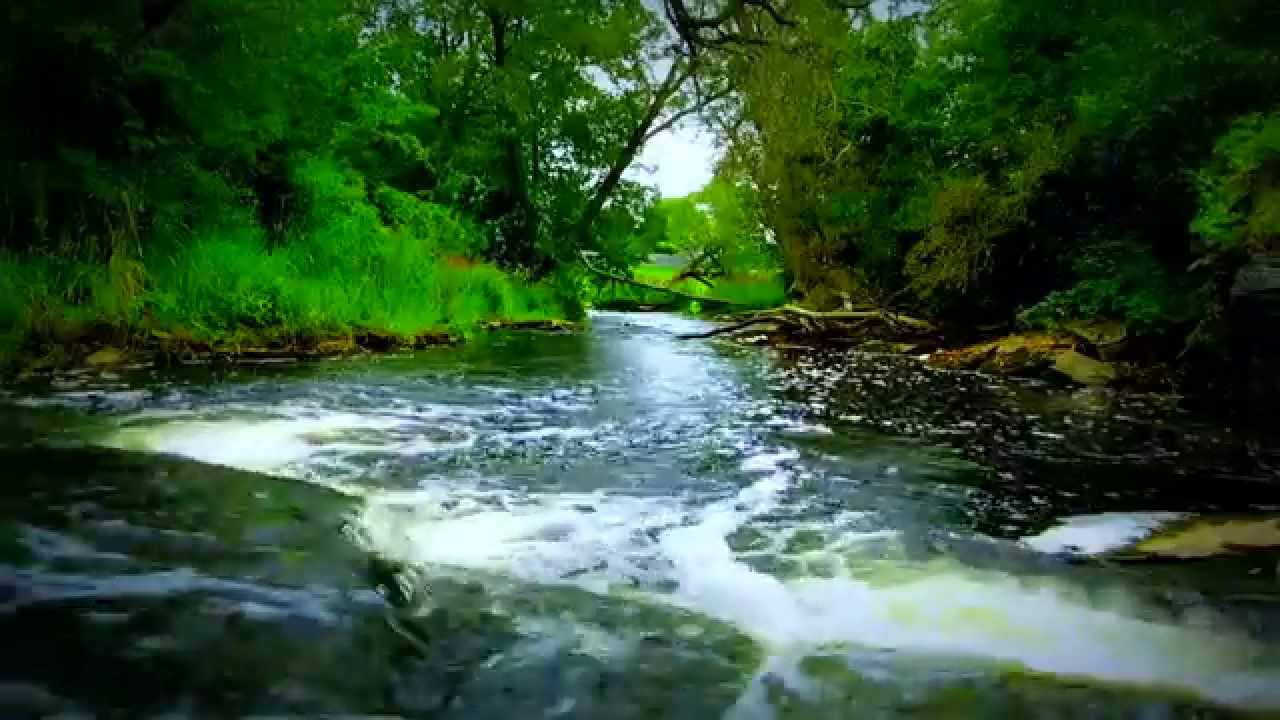 Just Relax Natural  Soothing River Nature  in HD 