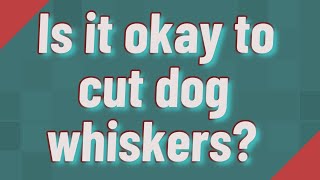 Is it okay to cut dog whiskers?