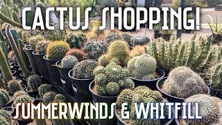 Cactus & Succulent Shopping at Summerwinds and Whitfill Nurseries