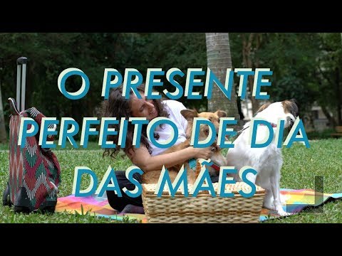 joutjout facebook A DIFÍCIL BUSCA