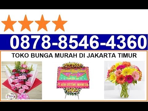  TOKO  BUNGA MURAH  DI  JAKARTA  TIMUR YouTube