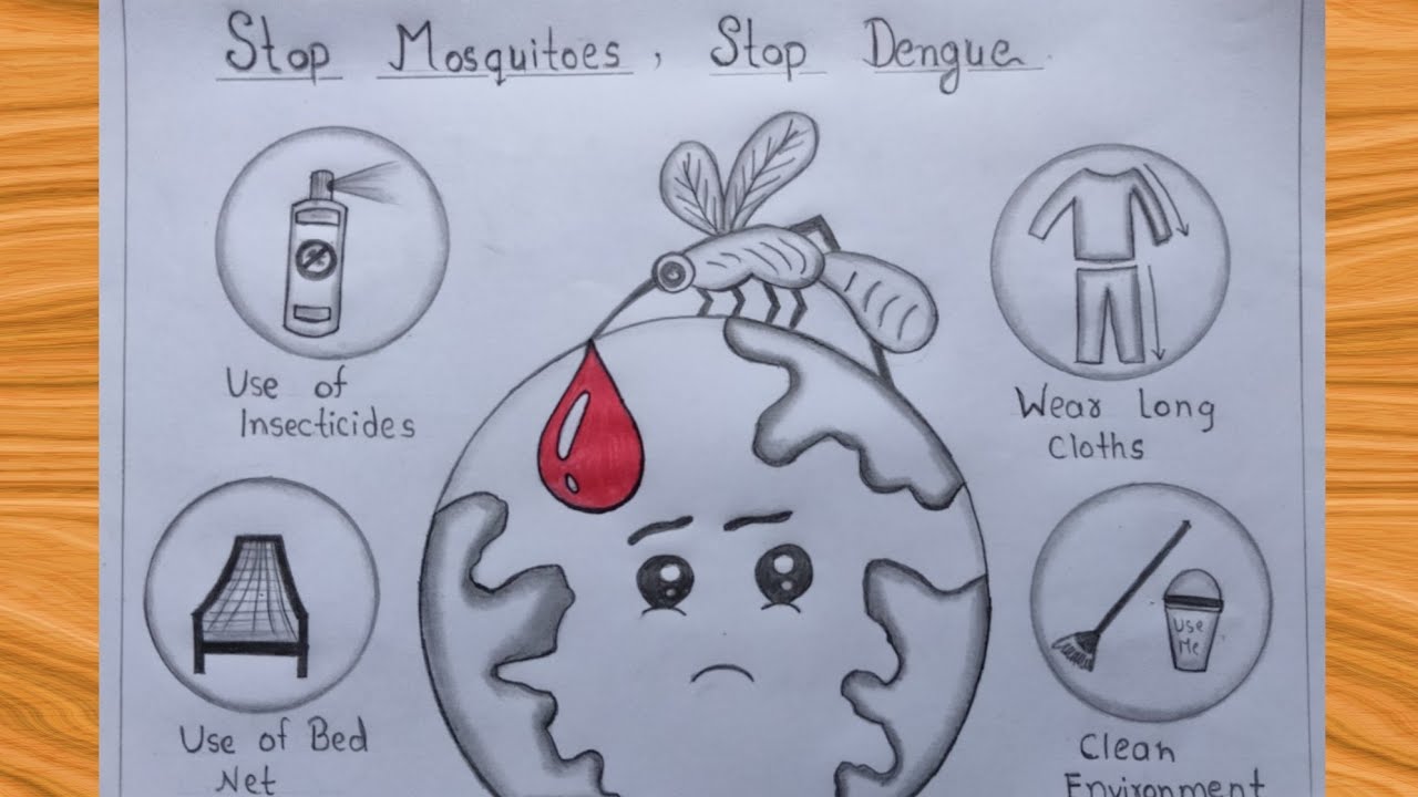 Spreading awareness for vector borne diseases | Poster drawing, Student  art, Animal cell project