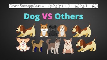 5. Cross-Entropy Loss/Negative Log-Likelihood