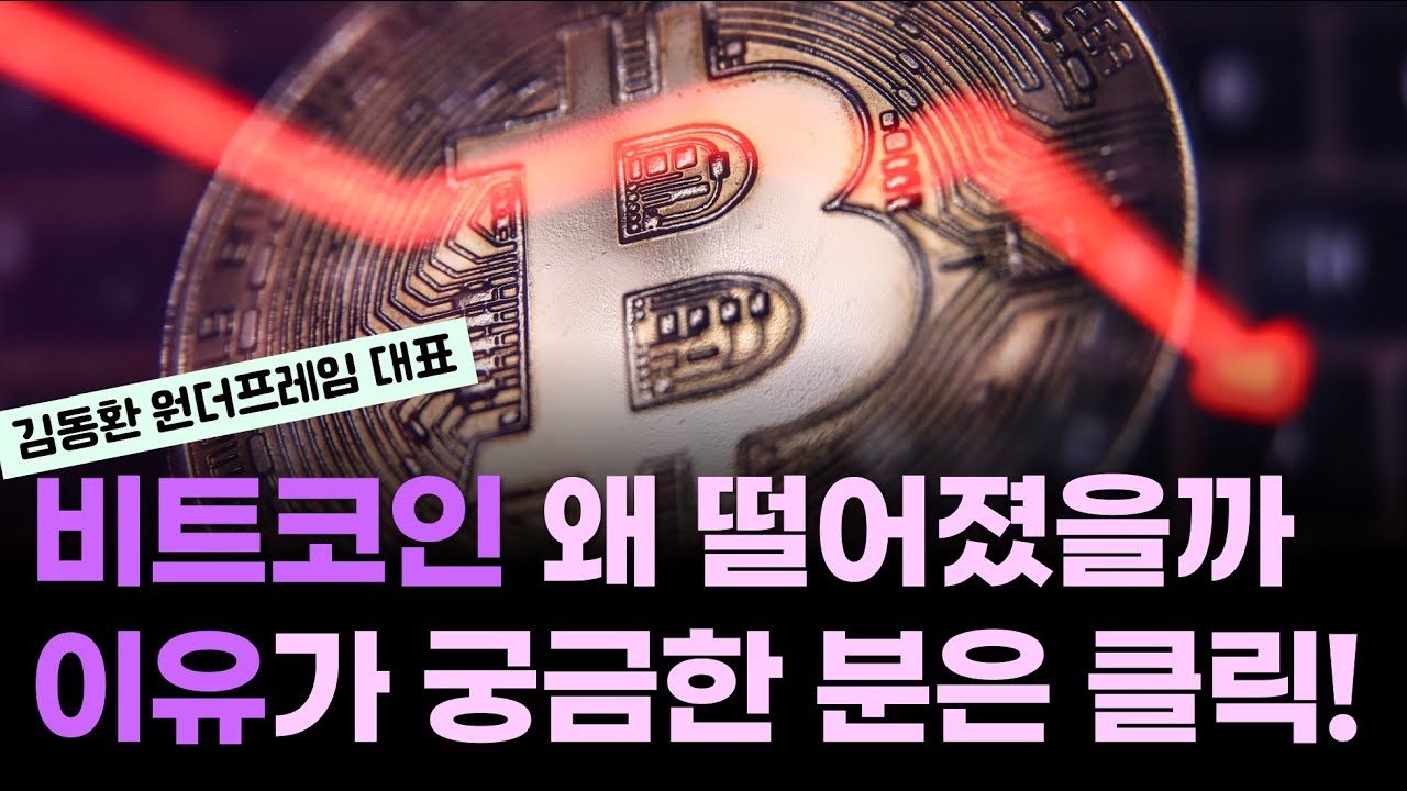 조울증 걸린 비트코인/비트코인 떨어진 이유 설명드리겠습니다/코인은 무엇보다 OOO입니다 ft.김동환 원더프레임 대표(1부)