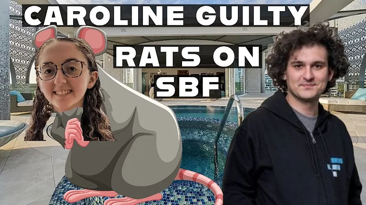 Caroline Ellison Pleads Guilty To Fraud And Rats O...