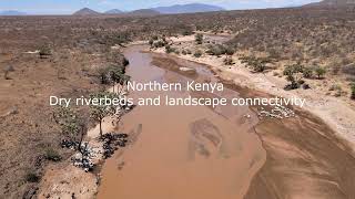 Dry riverbeds and landscape connectivity in Northern Kenya