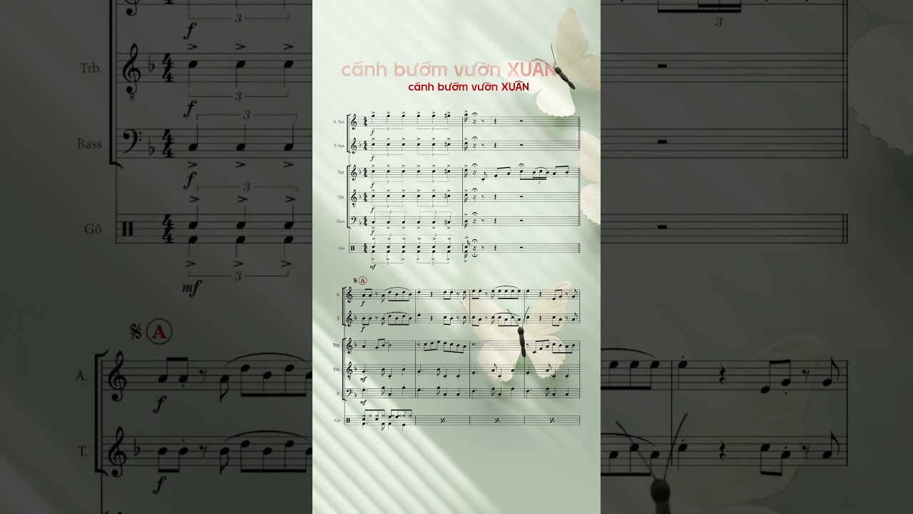 CÁNH BƯỚM VƯỜN XUÂN - Brass band 