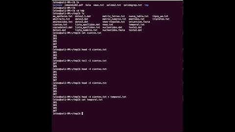Comandos básicos Terminal Linux: pipes