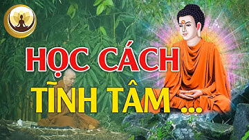 HỌC CÁCH TĨNH TÂM thì trí tuệ càng cao để cuộc sống thanh thản giác ngộ  #Mới