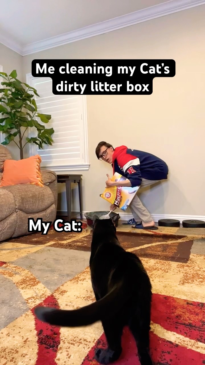 Me vs My Cat: The Litter #TheManniiShow.com/series