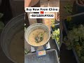 Máquina Trituradora de Verduras – Ideal para Pollos, Gallinas, Cabras y Ovejas #plantas #corricella