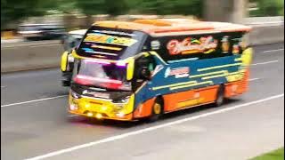 OUHH INI SERU‼️ADU BANTER SHOHIB UMAMI VS FORTUNA RANGKAS BITUNG,WULAN SARI & ANSAKA MBASURI JOSS‼️