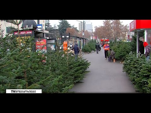 წიწვოვანი ხე მცენარეების რეალიზაციის პუნქტების მასშტაბურ მონიტორინგი დაიწყო 22.12.2021