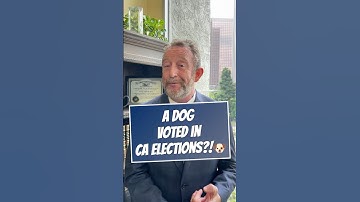 Dog Registered to Vote in California?! 🐶